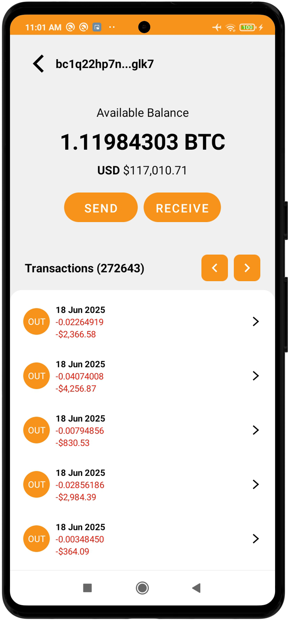 Bitcoin Wallet App Preview